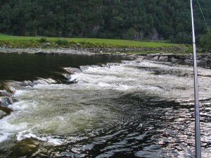 104_0465 God plass i overgongen mellom dei to hølane