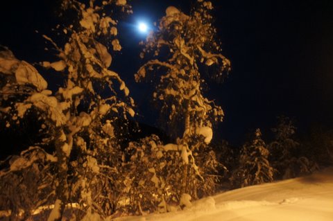 Hodlekvelangrennsløypa i måneskin